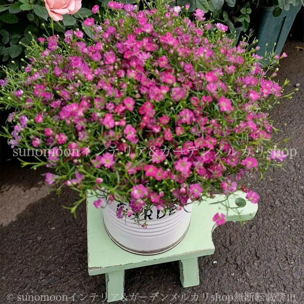 シャビーシック