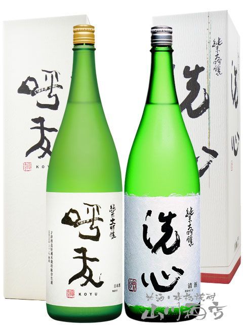 洗心 純米大吟醸 720ml 日本酒 24年1月製造 洗心 純米大