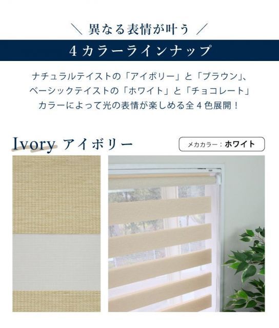 ロール スクリーン