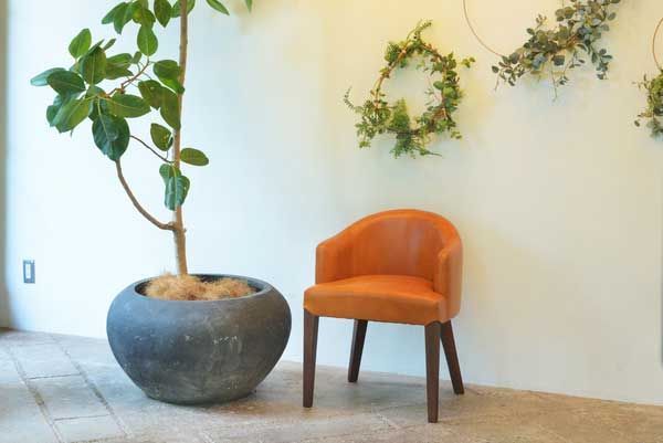 アッシュ のダイニングソファチェア