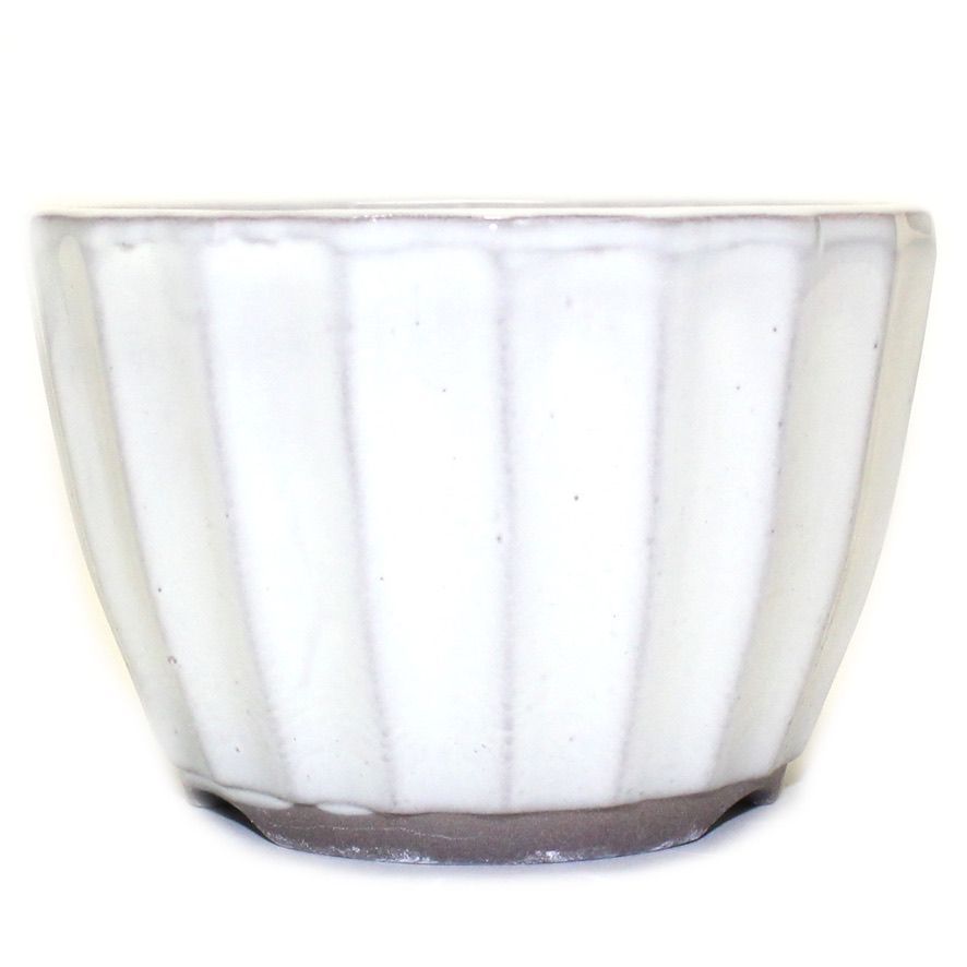盆栽鉢 3号 菊型小鉢 白色 クリーム釉 瀬戸焼 陶器 丸 約10