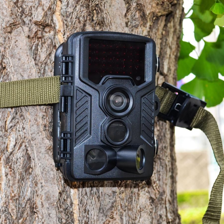 F.R.C. エフアールシー NX-RC800 レンジャーカメラ FRC 沖縄 離島を除く WWW_NOITHATQUANGTHANH_NET