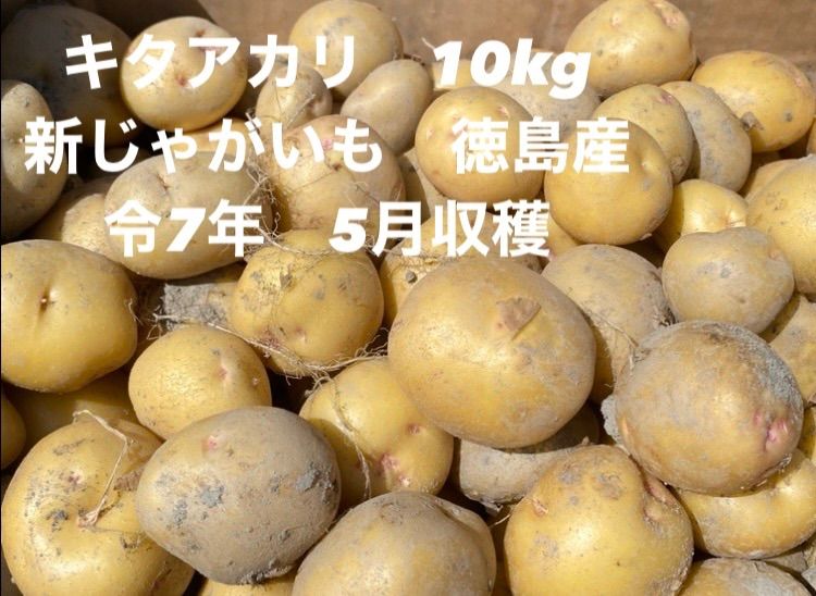 ショップレビュー ランキング 徳島県産 ML 10kg箱込 キタアカリ 新じゃがいも 農家直送 メルカリ - 野菜