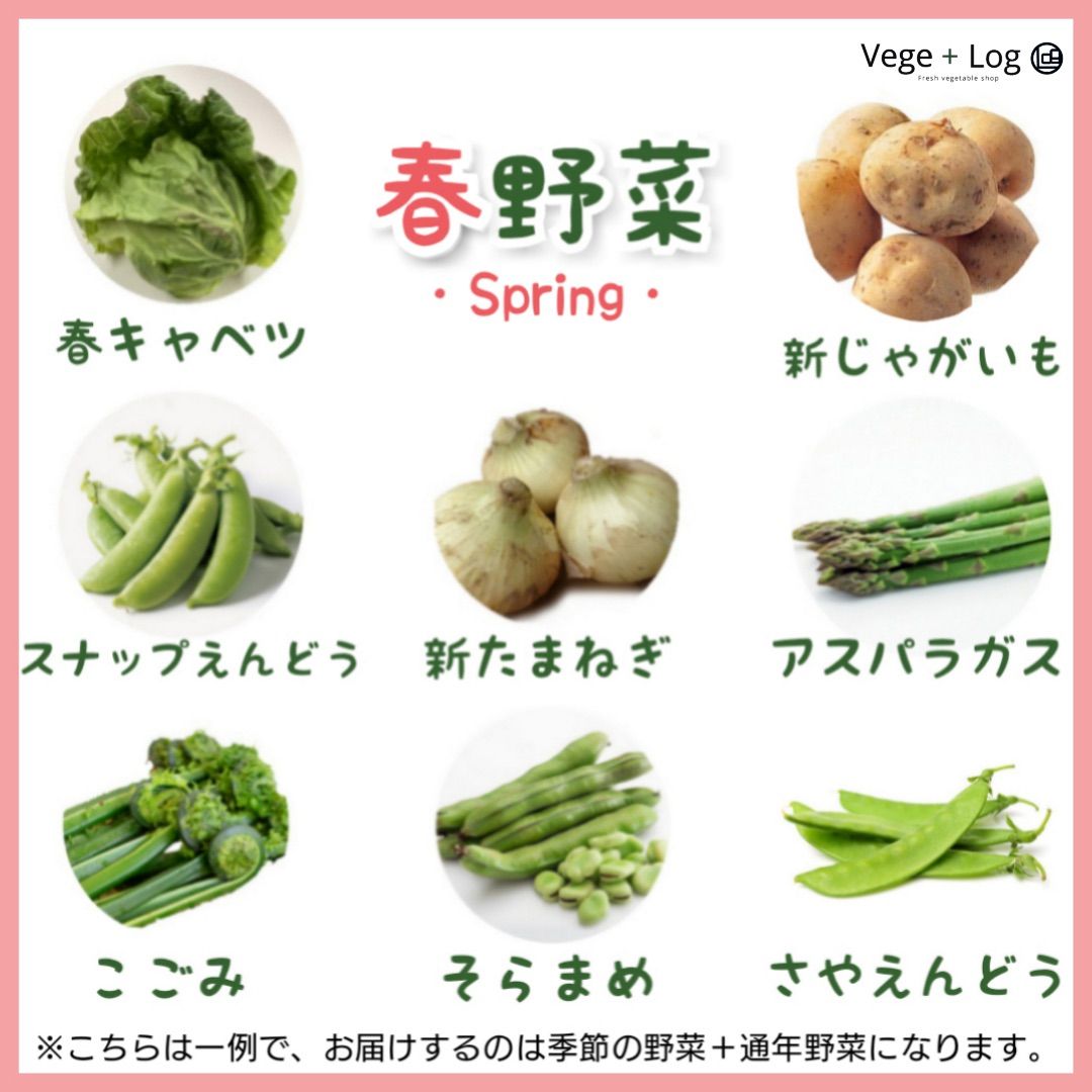 メルカリShops - 国産新鮮野菜セット Sサイズ 6〜8品目 秀〜A品 贈答品質