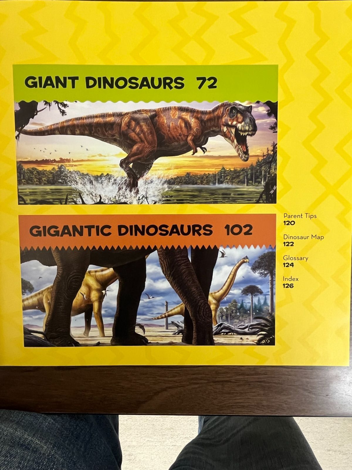 National Geographic Little Kids First Big Book of Dinosaurs