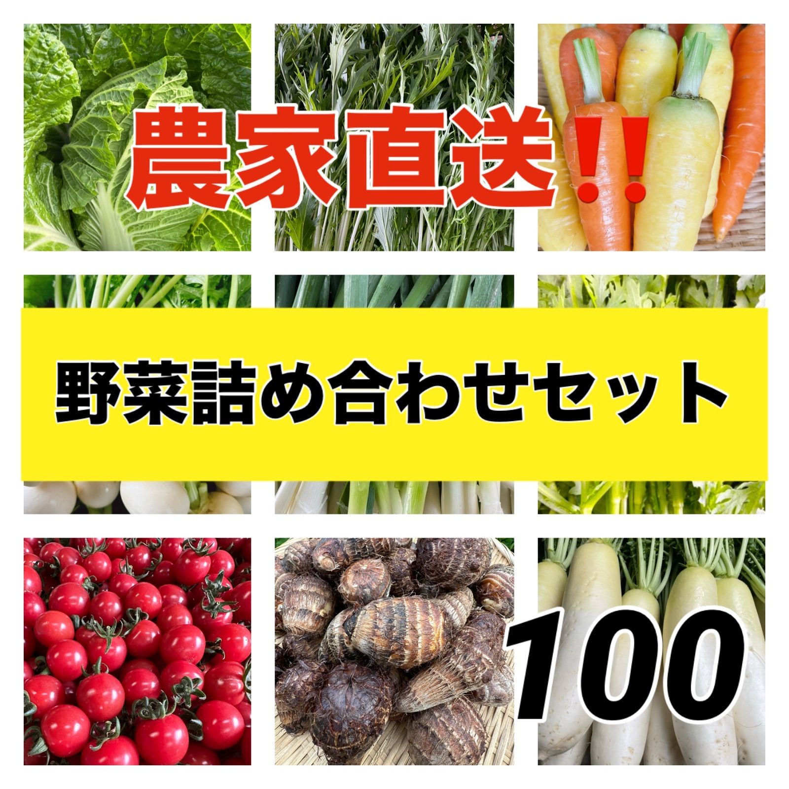 恋味】ミニトマト入り‼️野菜詰め合わせセット‼️９種類100サイズ