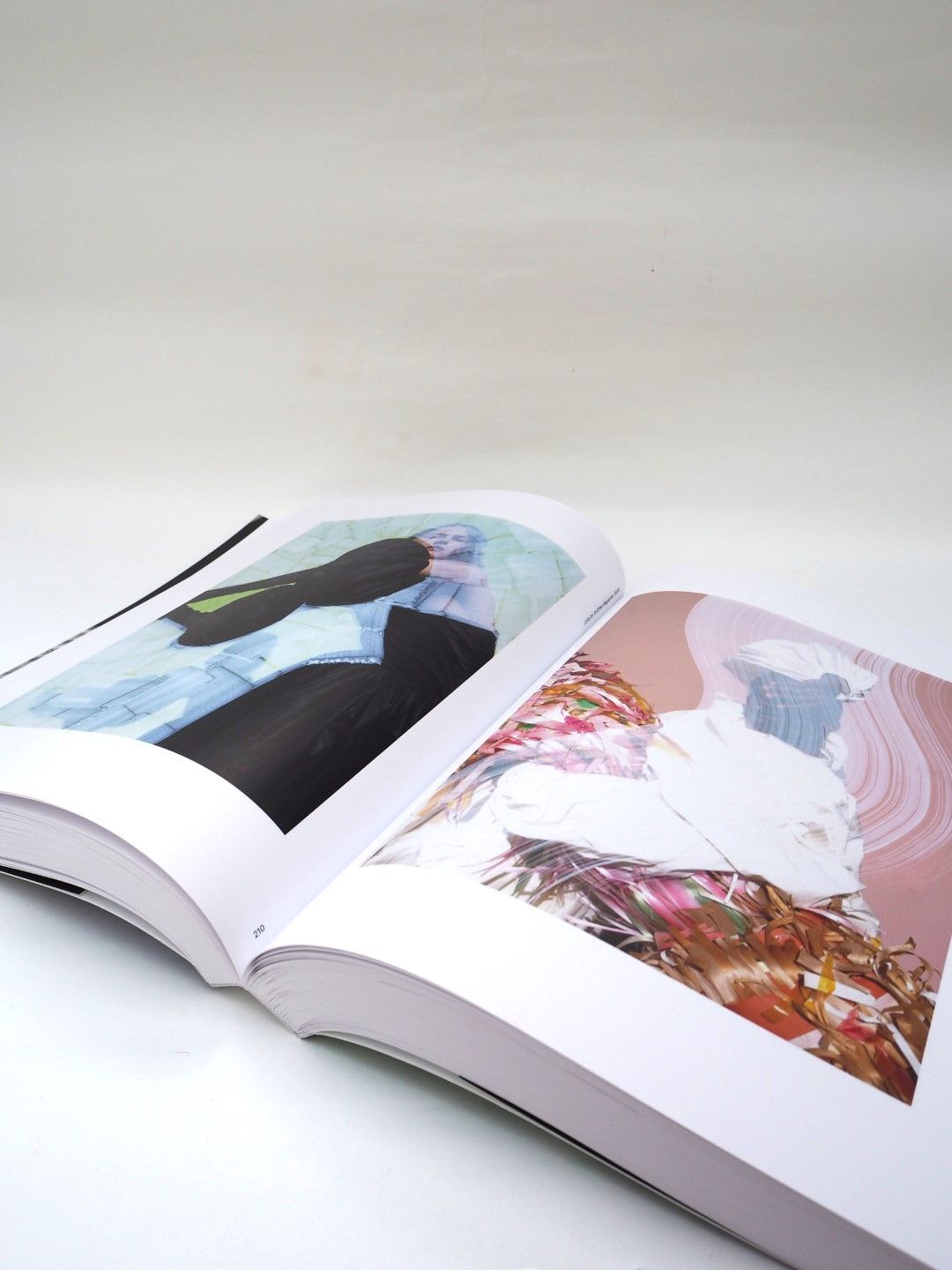 PHOSPHOR by Viviane Sassen ヴィヴィアンサッセン 写真集 □送料込み