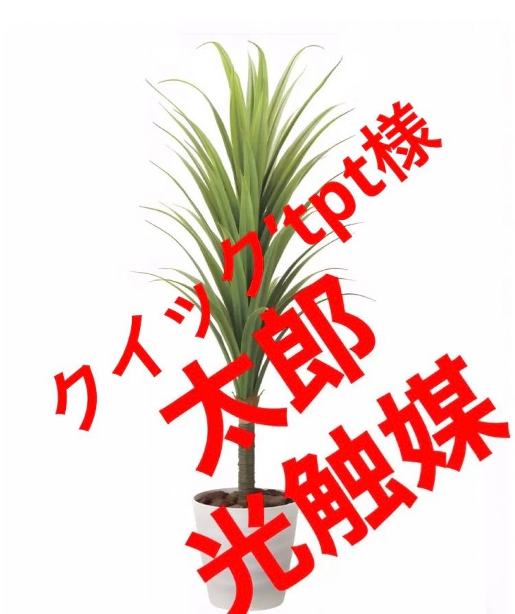 光触媒 人工観葉植物 ウォールグリーン フレッシュドラセナ1.8 【公式