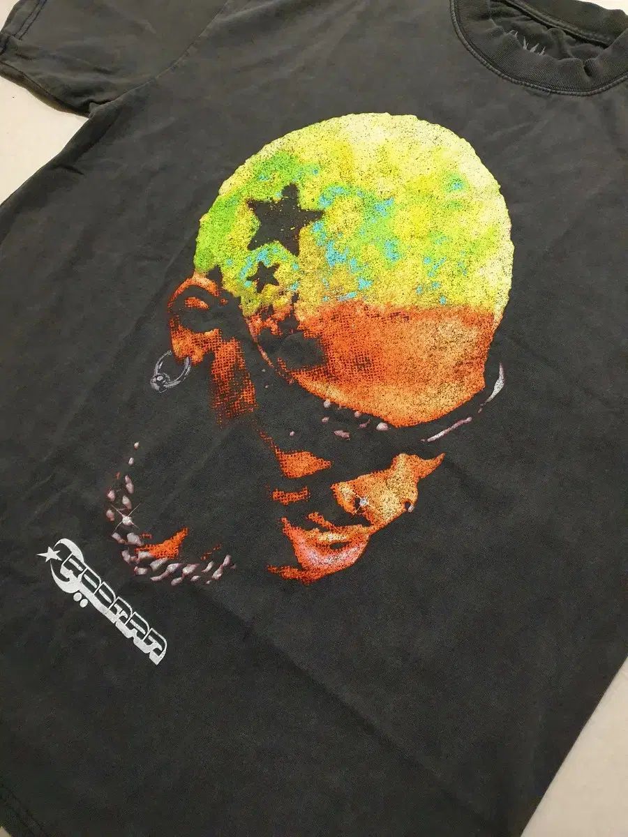 デニス・ロッドマン コンプリートブック DENNIS RODMAN NBAバスケ