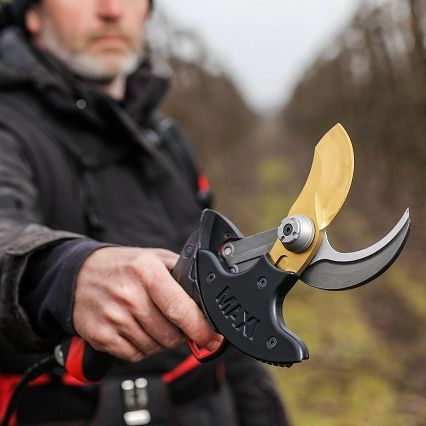 造園 フランス製