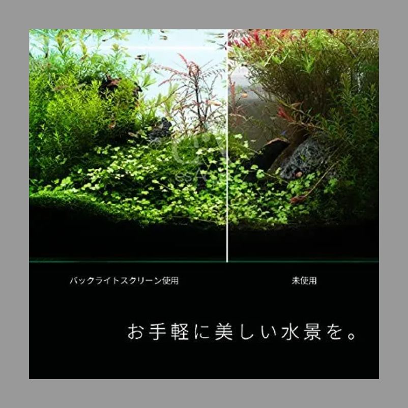 展示品使用】水槽用 LEDバックライトスクリーン 30*30㎝【esAqua