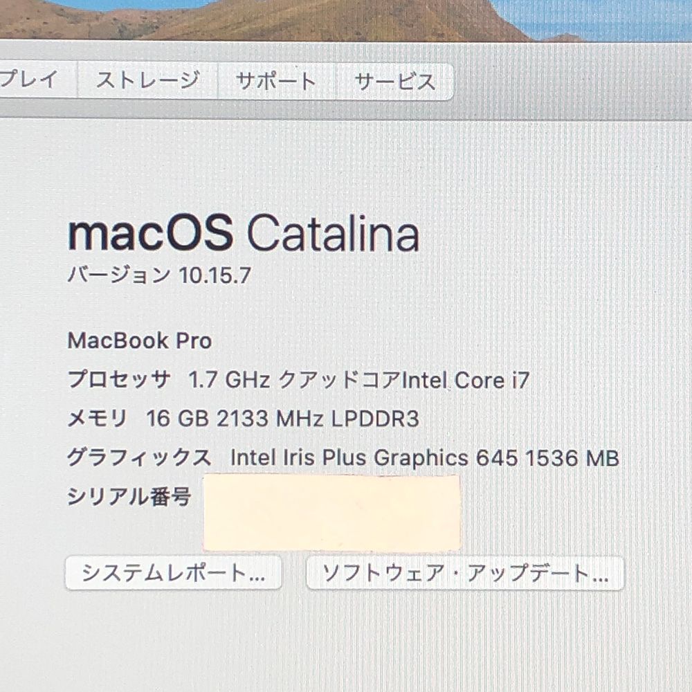 13インチ