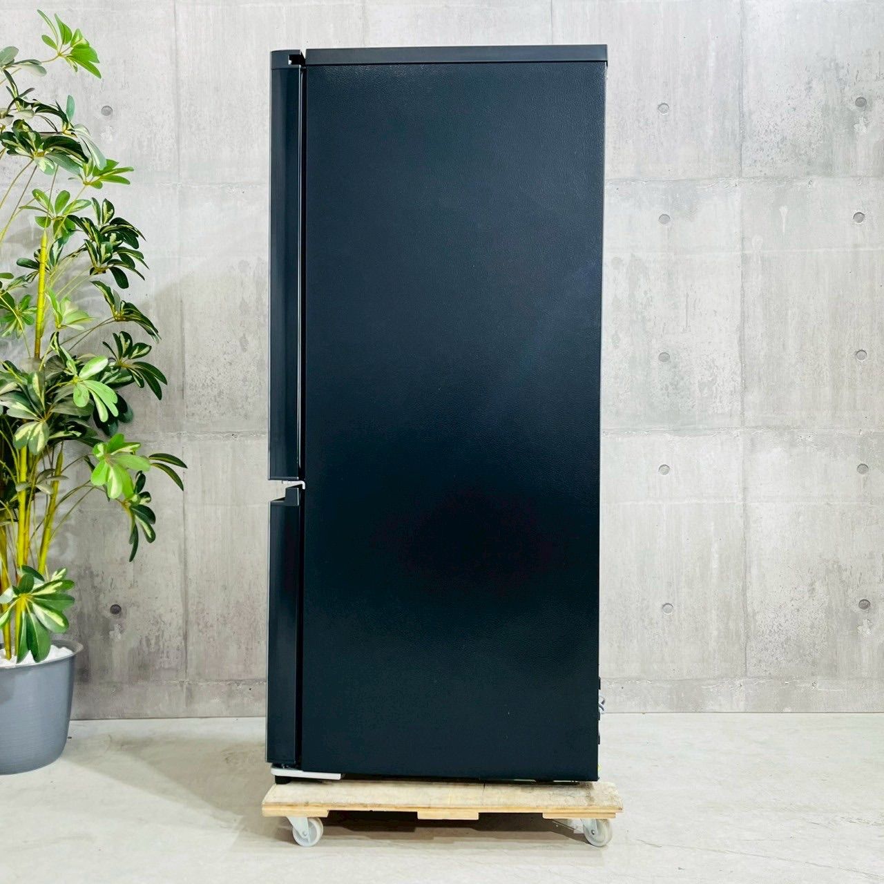 2023年製 Hisense 冷凍冷蔵庫 162L 2023年製】Hisense ブラック 冷蔵庫