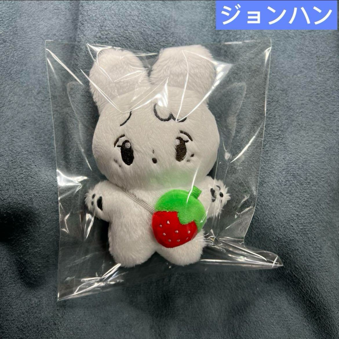 ジョンハン ぬいぐるみ 10cm 新品 マスター セブチ svt 【公式通販】