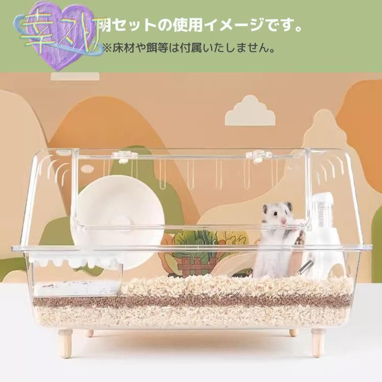ss再 げccWP人気注目