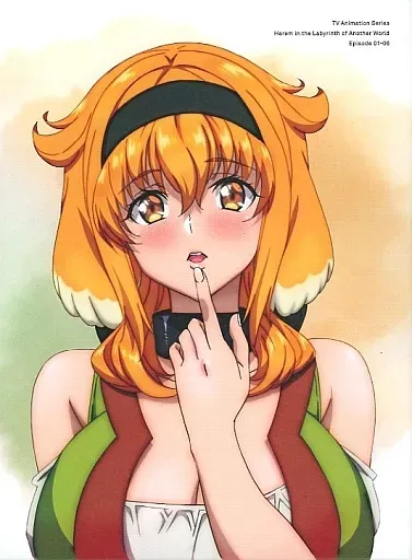 2026年最新】異世界迷宮でハーレムをdvdの人気アイテム - メルカリ