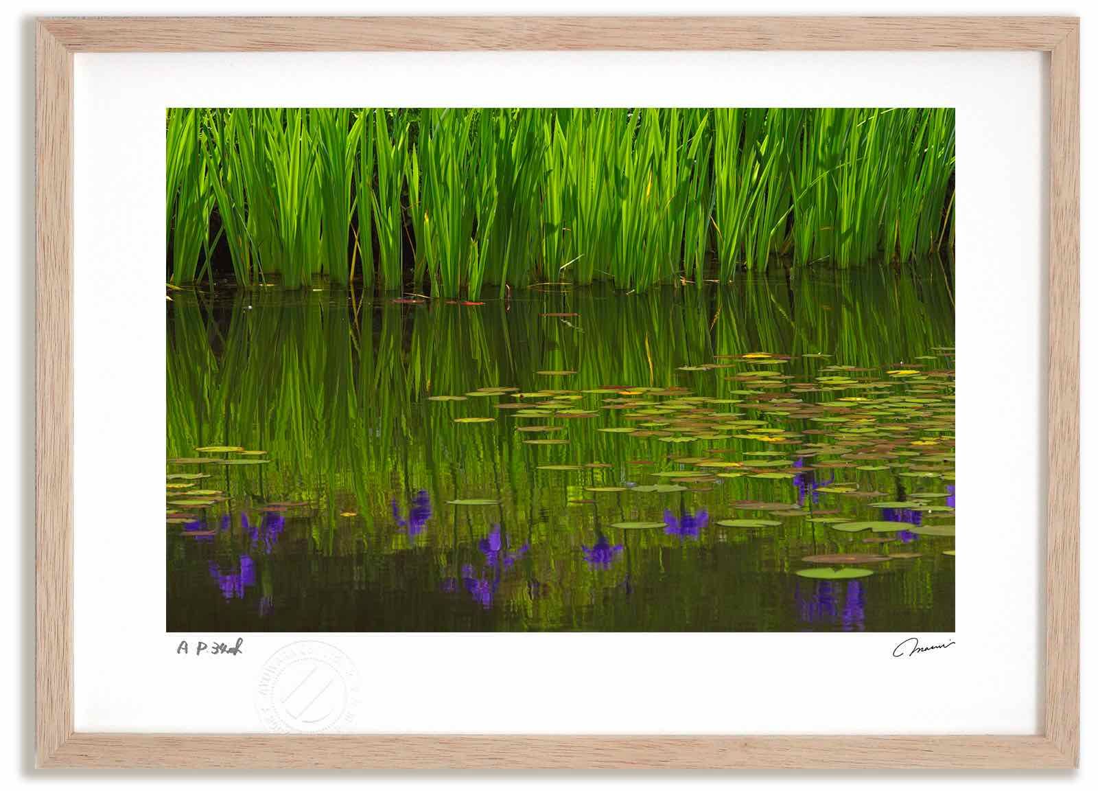 シャガール リトグラフポスター ルッシュとモンパルナス 【マルク