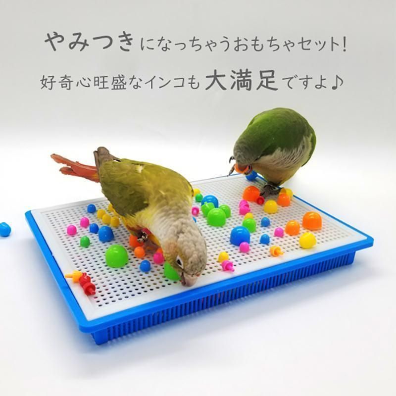 Coco hitomi　インコのカジカジおもちゃ50個 小鳥のおもちゃセット 鳥のおもちゃ 鳥用玩具 プラスチック
