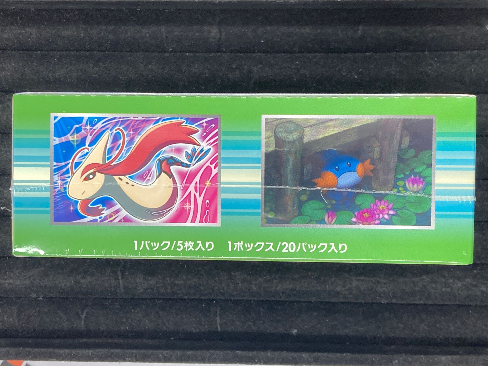 タイダルストーム他パック 拡張パック「ガイアボルケーノ」「タイダルストーム