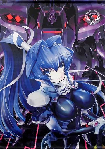 タペストリー　[単品] 御剣冥夜(マブラヴ オルタネイティヴ) オリジナルB2タペストリー 「PCソフト age ～アーカイブス 20thBOX Edition～」 ソフマップ購入特典 中古】タペストリー [単品] 御剣冥夜(マブラヴ オルタネイティヴ
