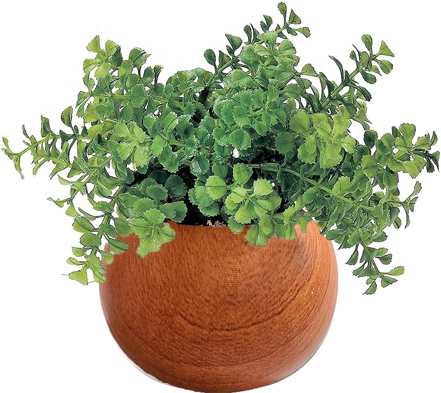 数量 光触媒 観葉植物 かわいい ファンシェイプ 造花 Φ14 H 13 cm ポットの直径はΦ7 ナチュラル インテリアグリーン 木目ポット 419501 ケーアイジャパン ブラウン