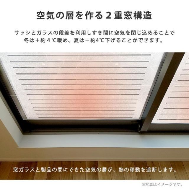 12枚入り