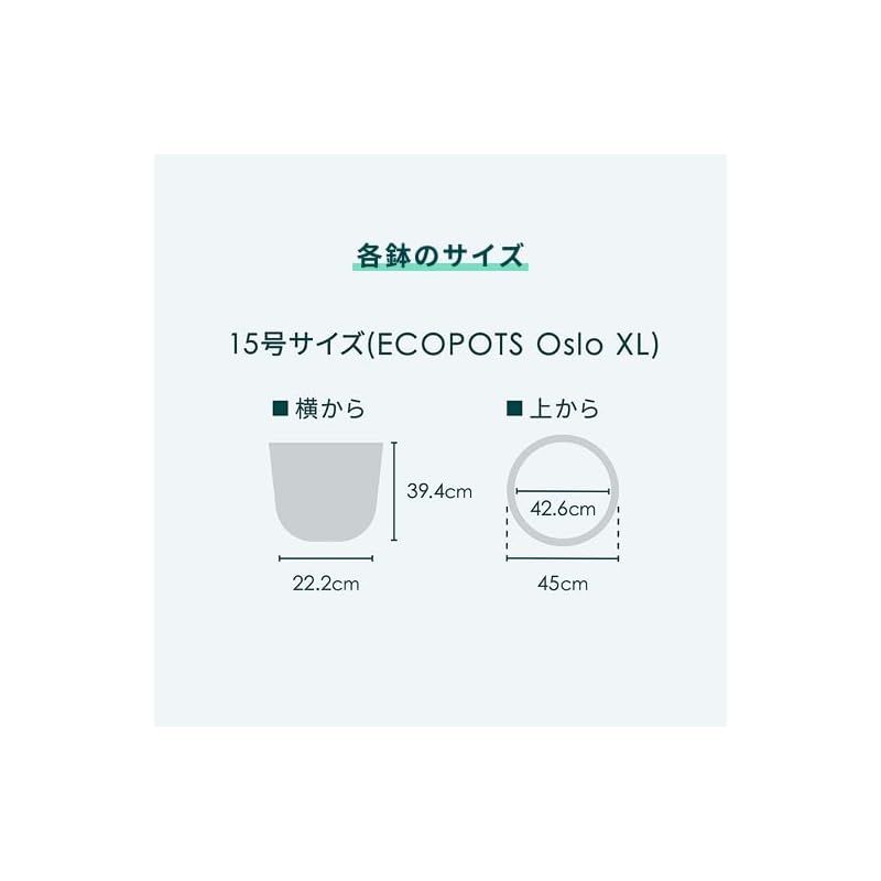 ECOPOTS Oslo エコポッツ AND PLANTS アンドプランツ ブルーグレー XL 1 LLC-HASEGAWATOSO_COM