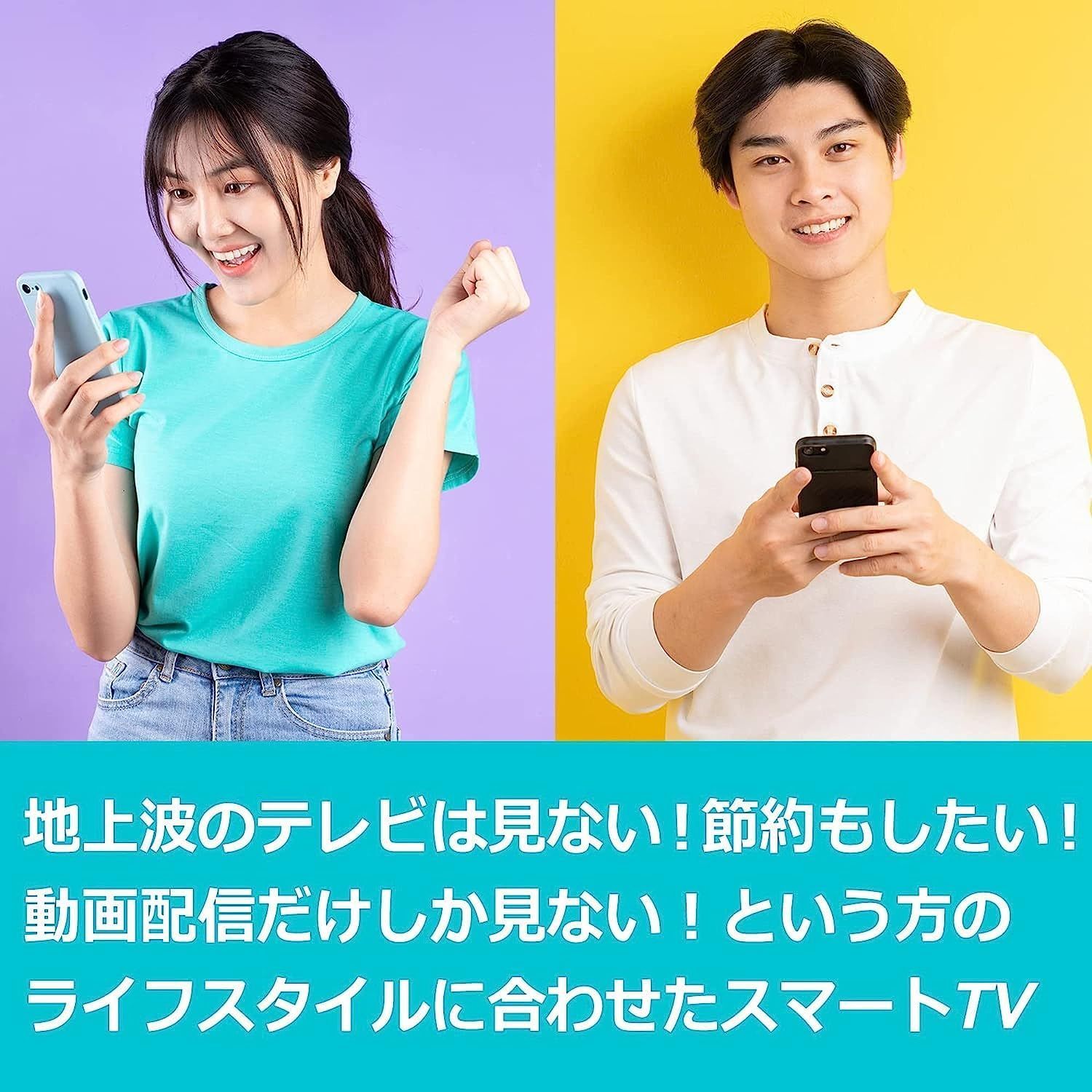 話題の動画配信サービス(VOD)視聴専用TV24V型 チューナーレス TV