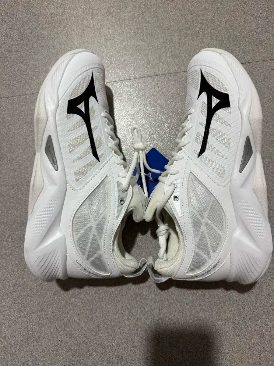 Mizuno ミズノ バレーボールシューズ サンダーブレード Z 25.5