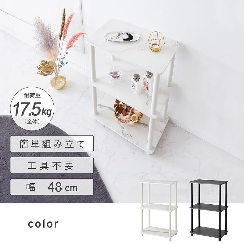 カカオ苗2025年5月植付け2つセット カカオ苗2025年5月植付け2ポット