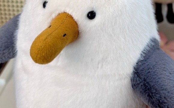  Chip seagull 鳥 カモメ ぬいぐるみ jellycat Chip seagull 鳥 カモメ ぬいぐるみ - メルカリ