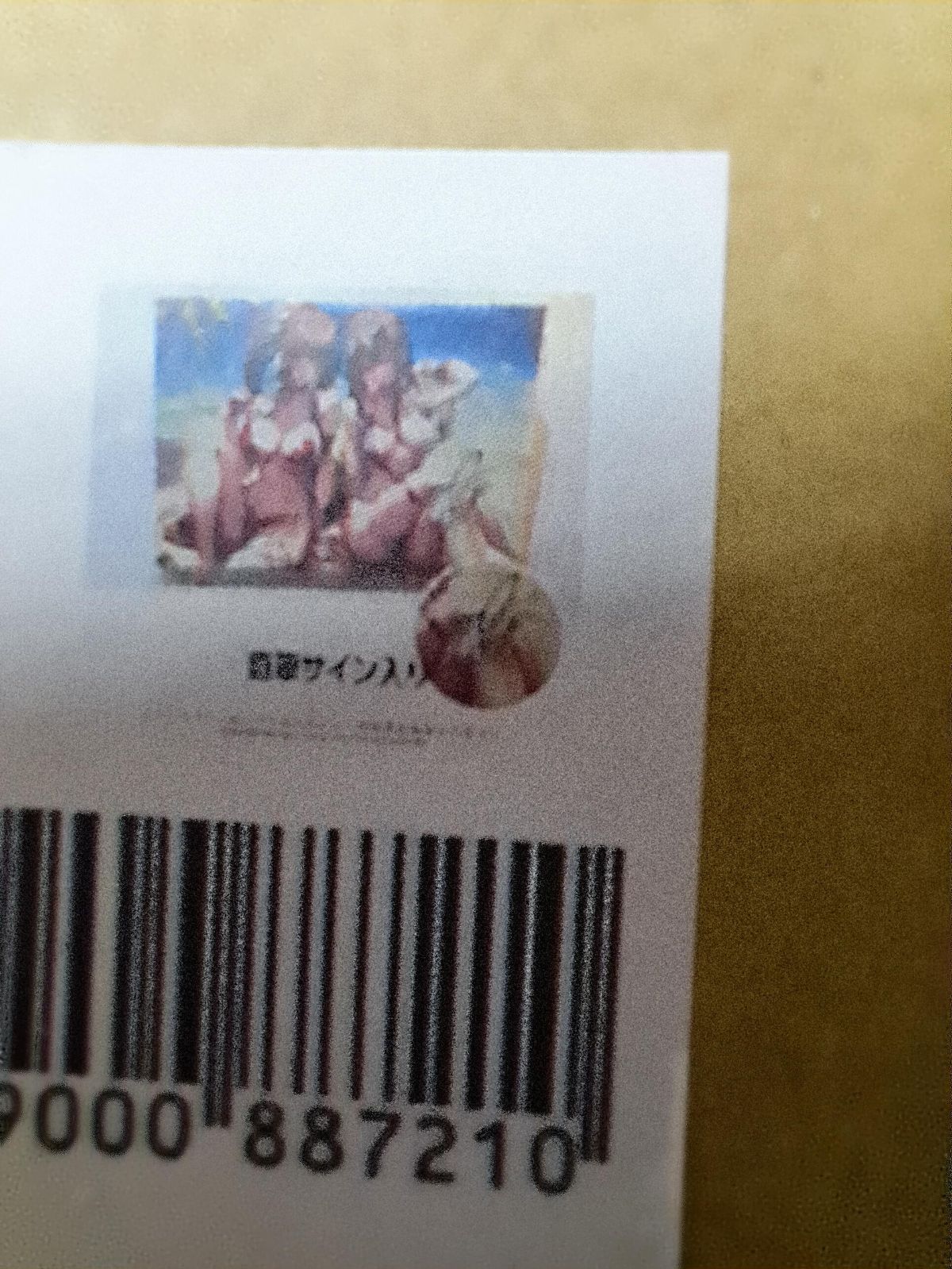 ピロ水先生 直筆サイン入り プレミアムアクリルキャンバスアート