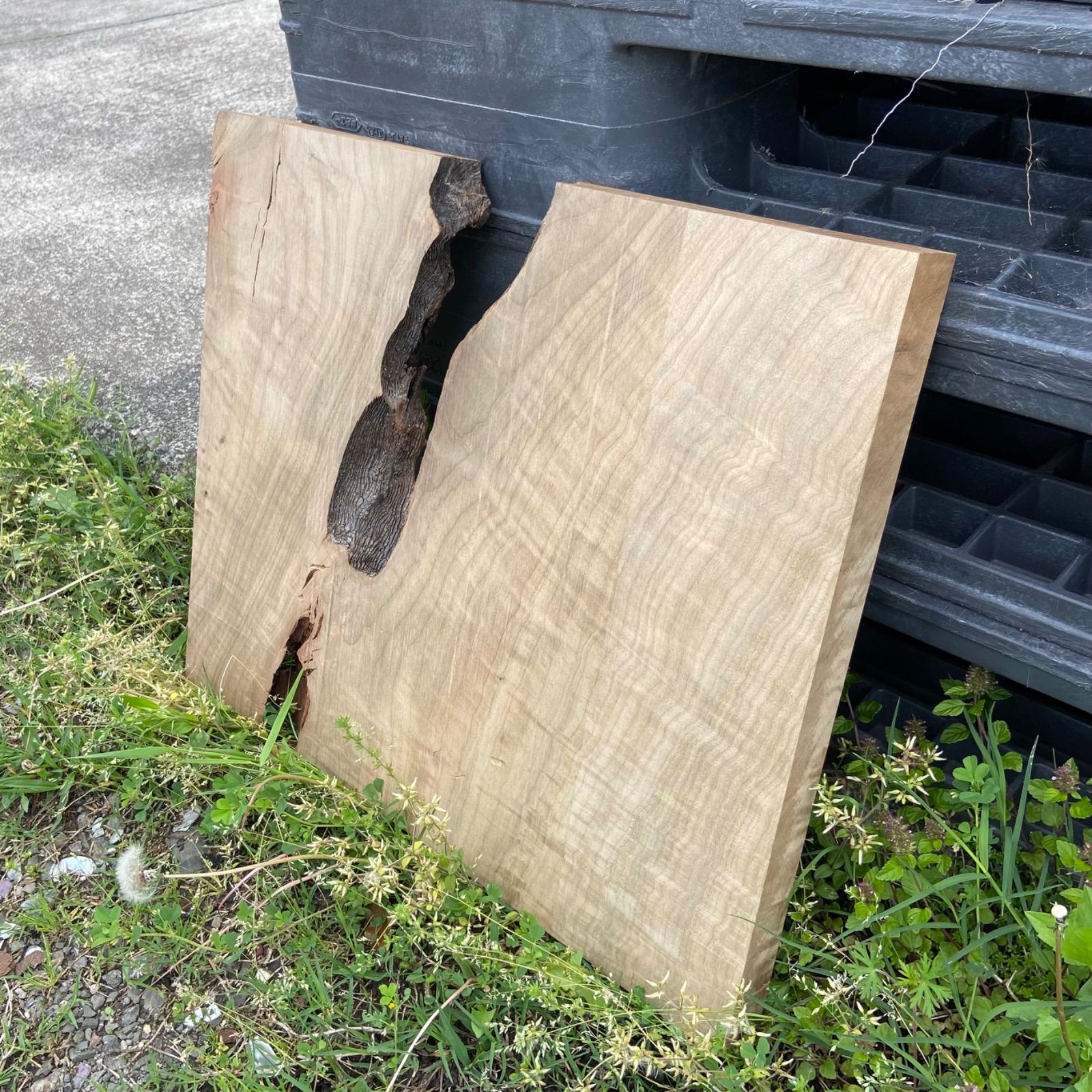 神代クス 木材 楠 無垢材 銘木 木工作品 手作り家具 インテリア