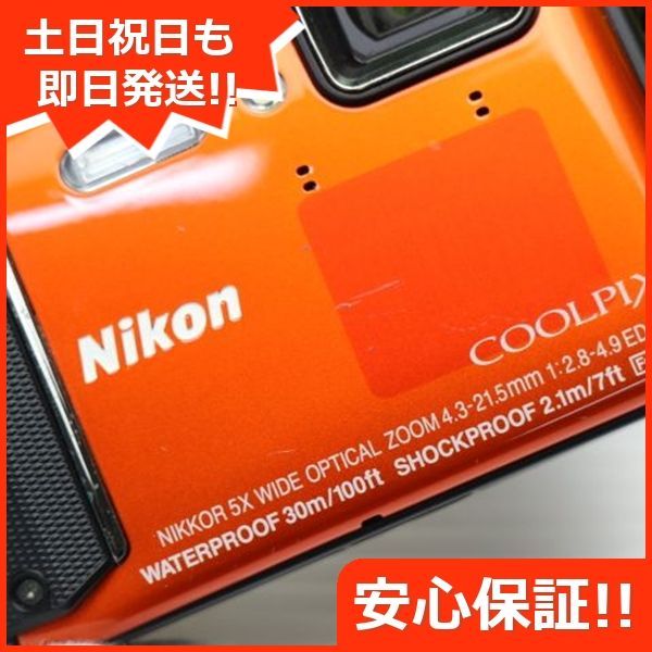 本体
