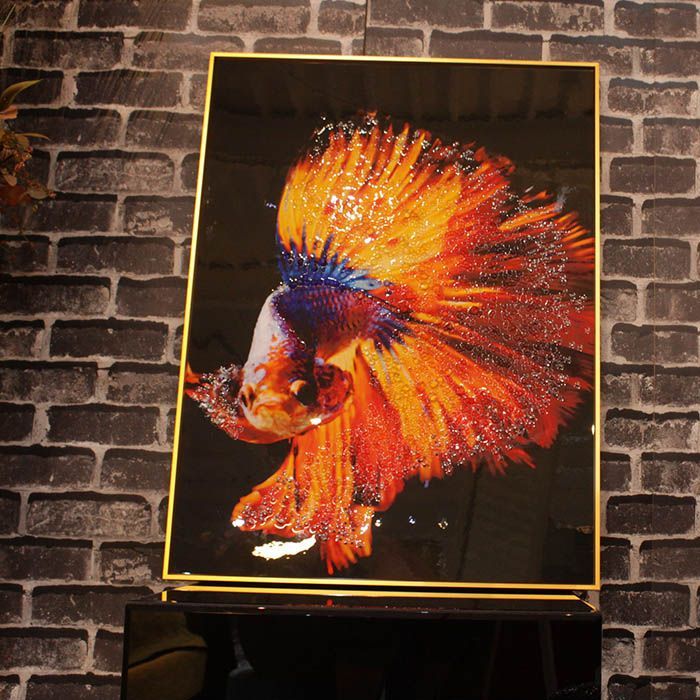 Amazon.co.jp: [バタフライ] 卓球シューズ レゾライン ソル 93640