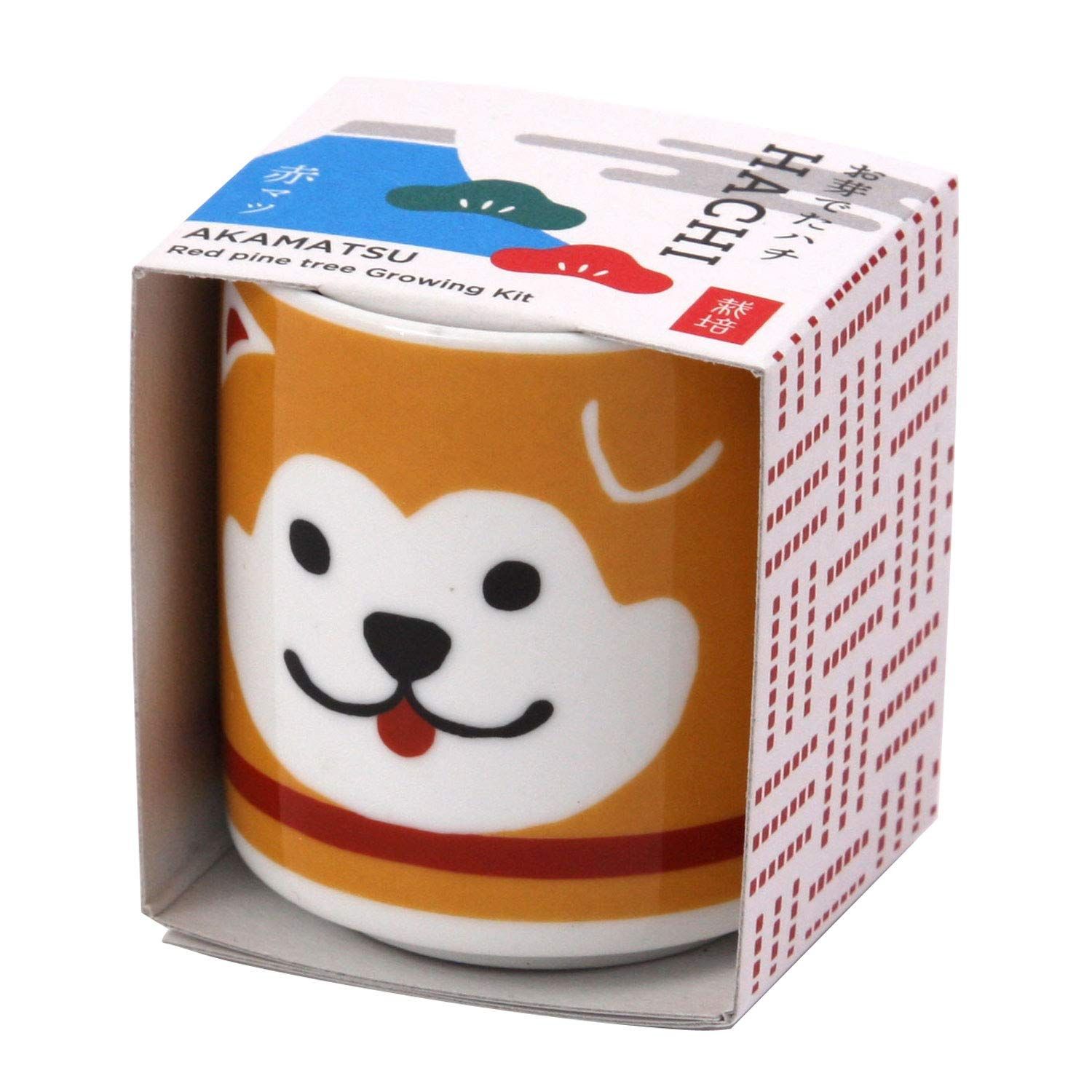 栽培セット 簡単 自由研究 赤松 ゆったり育てる 鉢の径約4 cm 栽培キット お芽でたおちょこ ミニ ハチ公 盆栽キット まめ盆栽 茶 手のひら庭園 秋の プレゼント 春 GD-92201 聖新陶芸