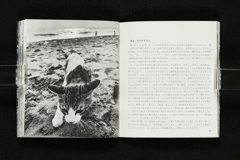 深瀬昌久　サスケ!いとしき猫よ サスケ！！いとしき猫よ 深瀬昌久・写真集 深瀬昌久 | 古本よ
