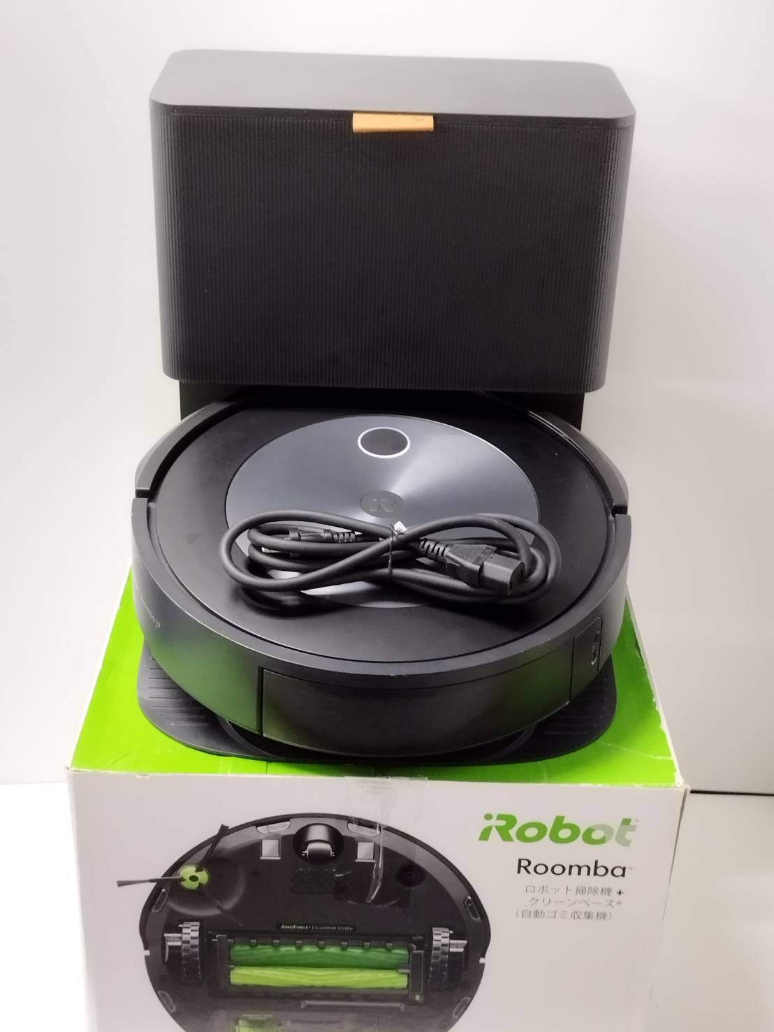 (MB-M251121-11) アグラオネマ　ピクタム MB-M251121-11) アグラオネマ ピクタム