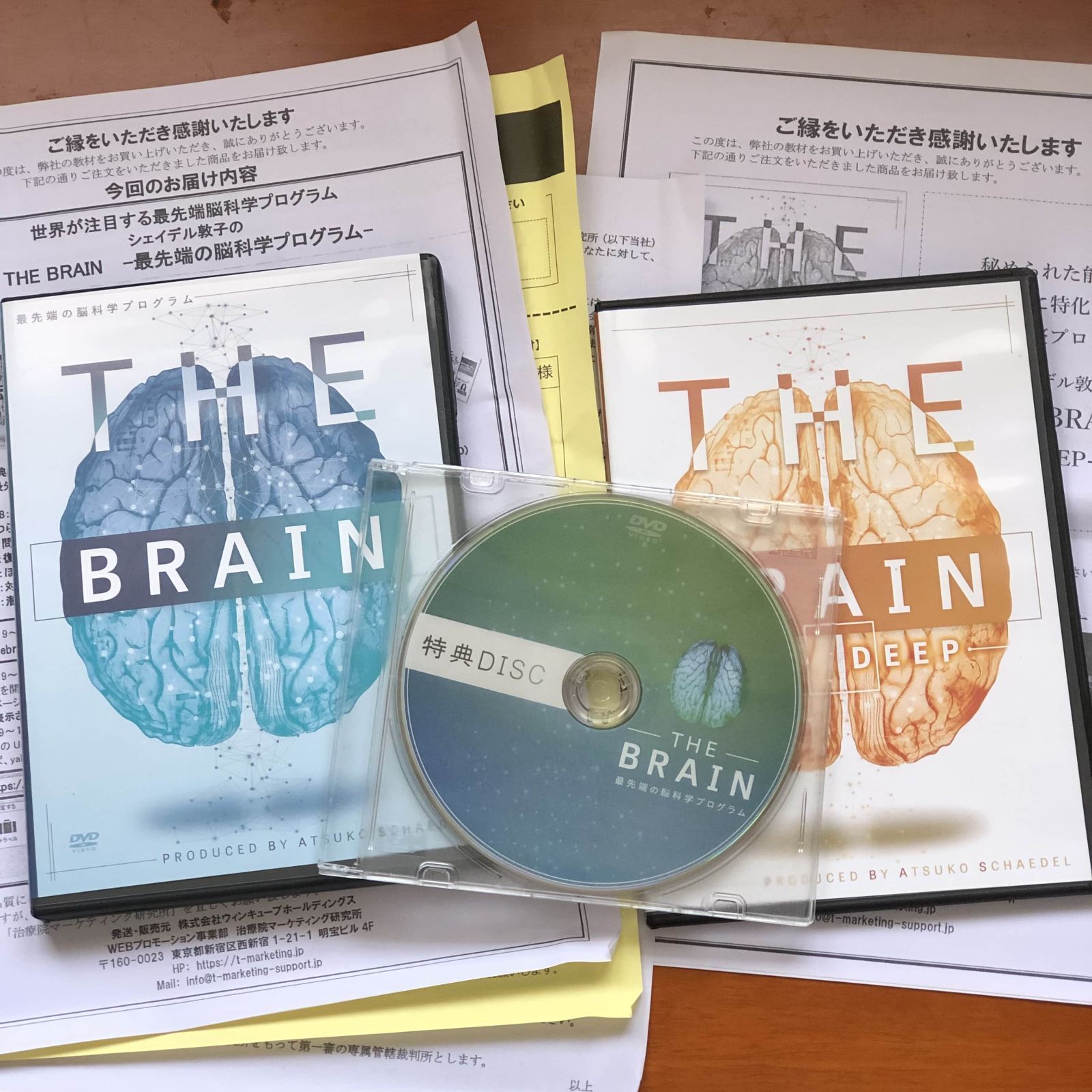 シェイデル敦子先生の【THE BRAIN-最先端の脳科学プログラム-】フルセット シェイデル敦子先生の【THE BRAIN-最先端の脳科学プログラム