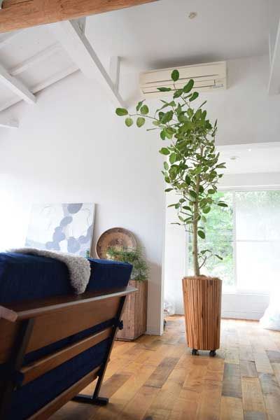 チーク のキャスター付き鉢カバー