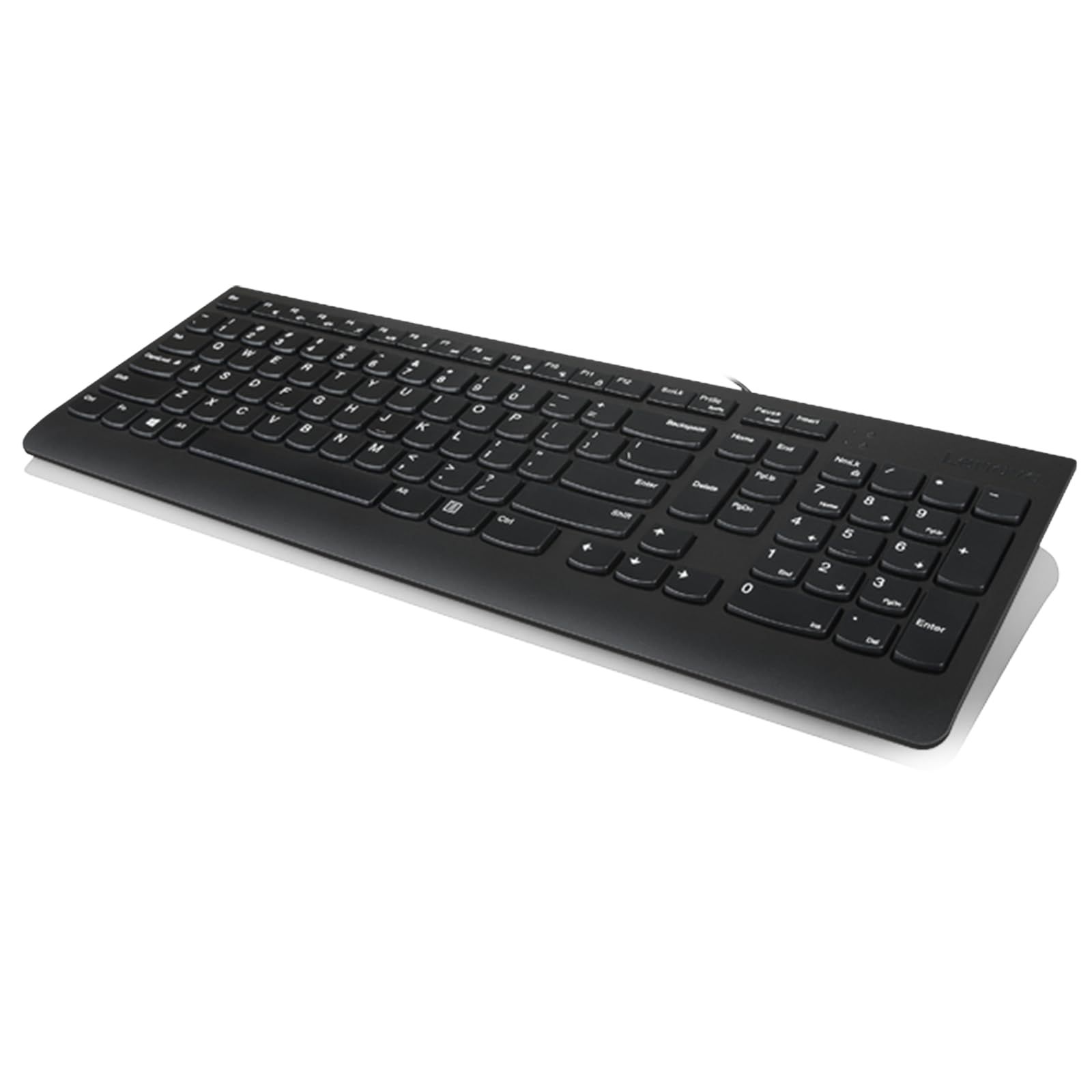 Lenovo 300 USBキーボード 有線 傾斜調整可能 人間工学 Windows 7/8/10 GX30M39655 ブラック 