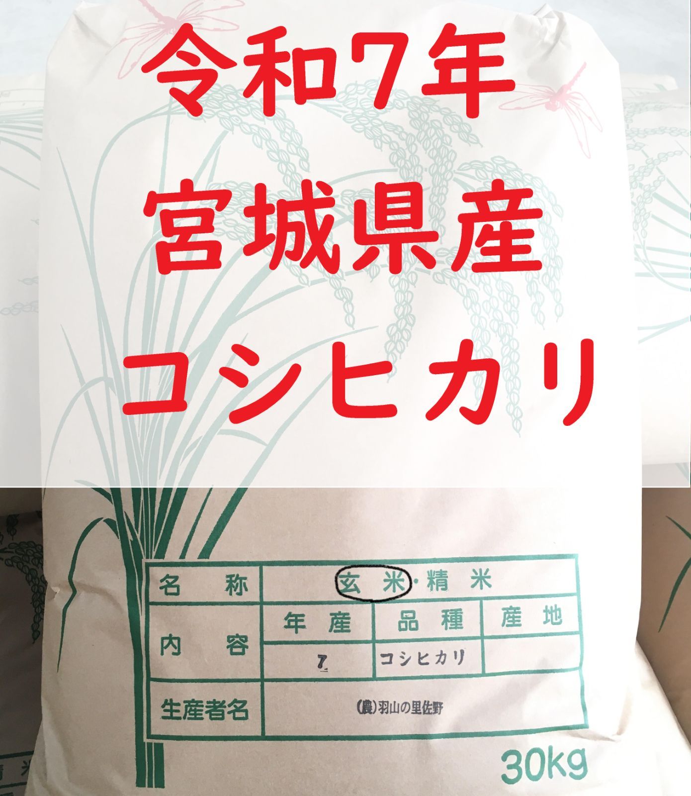 み 令和7年 コシヒカリ 玄米30kg 宮城県産 新米 農家直送