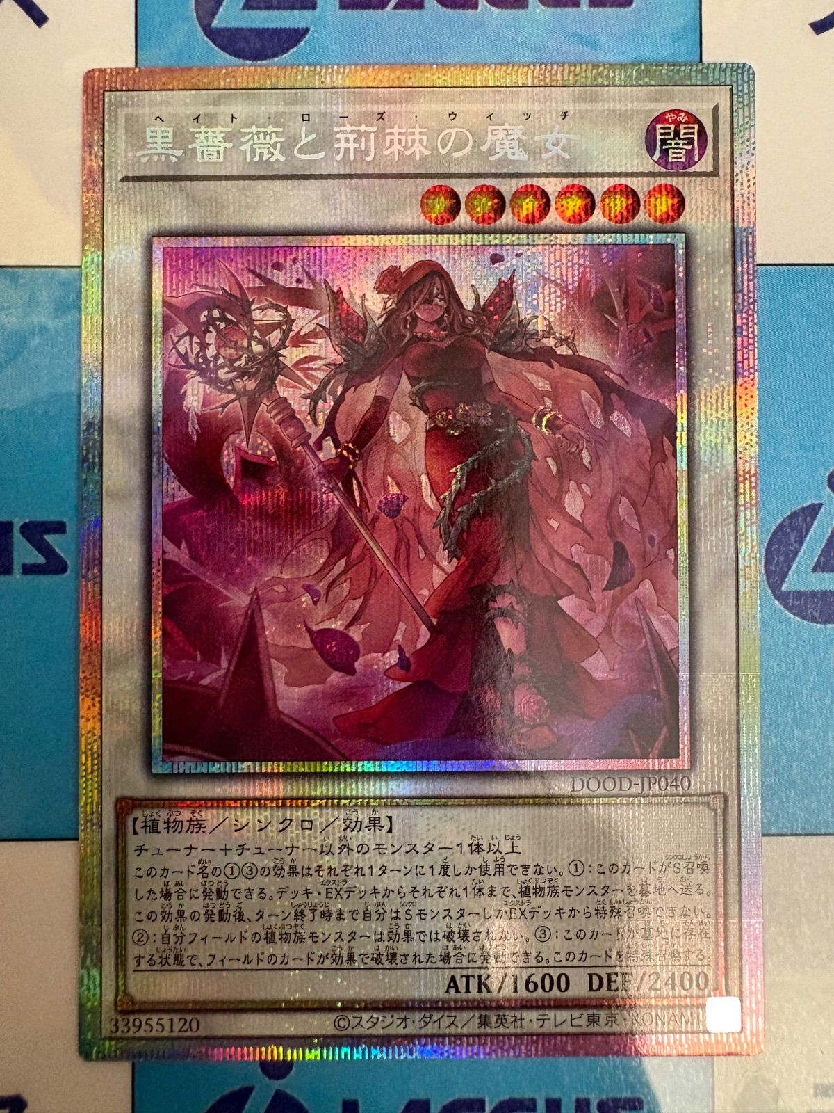 遊戯王　黒薔薇と荊棘の魔女　プリズマシク、シークレット3枚 遊戯王 黒薔薇と荊棘の魔女 プリズマシク、シークレット3枚
