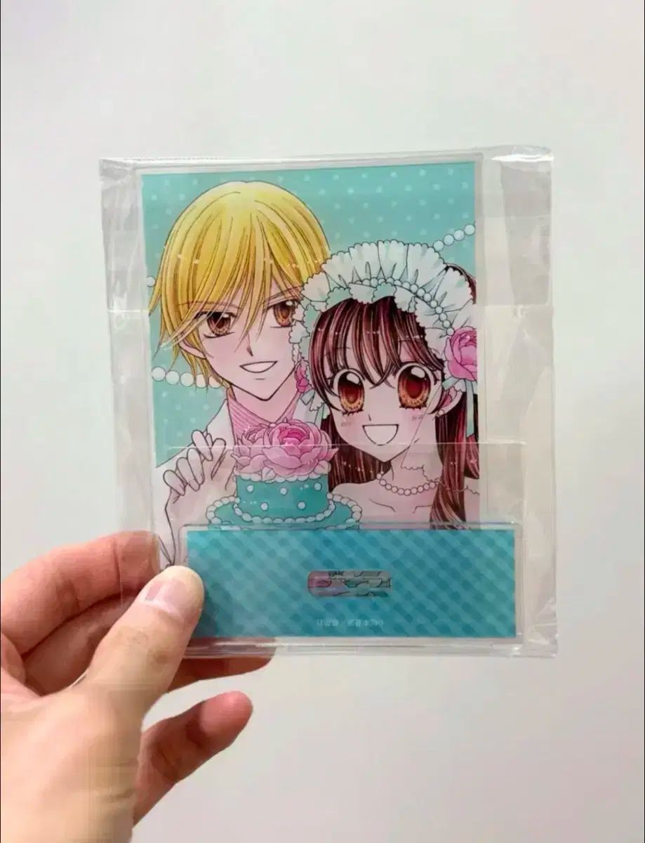 洋書】Purple パープル number 9 Fall 2001 PURPLE magazine 洋書 洋書