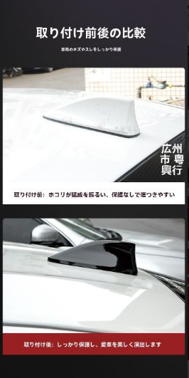 亮黒 カーボン調