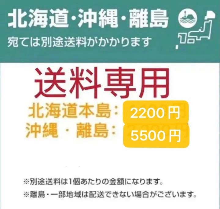 せいや様沖縄離島別途送料用専用ページ - メルカリ