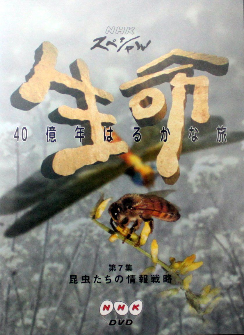 NHKスペシャル 生命40億年はるかな旅 第7集:昆虫たちの情報戦略 [DVD] - メルカリ