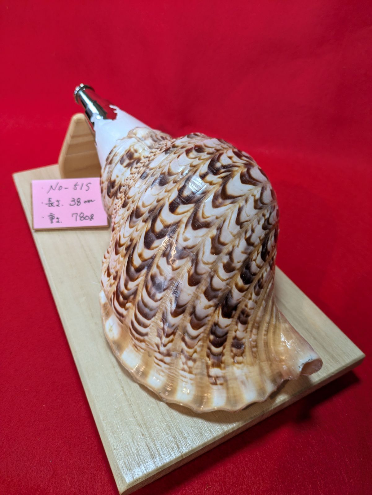 法螺貝ＮＯ−５１Ｓ ホラ貝、和楽器、和太鼓 修験道 法螺貝NO−51S、ホラ貝、和楽器、和太鼓、修験道 - メルカリ