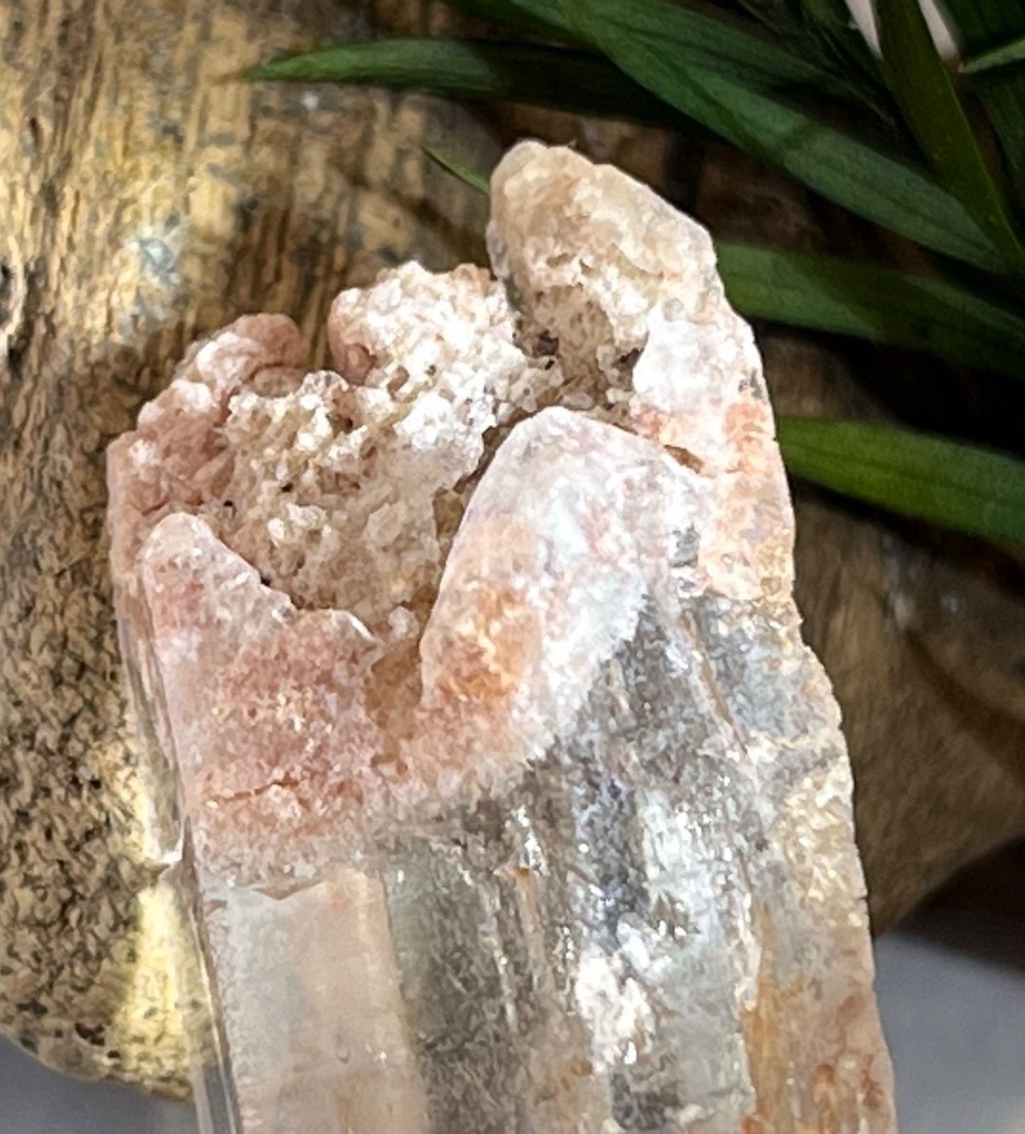 特別限定神秘的にして最強【マニカラン産ヒマラヤ水晶ポイント