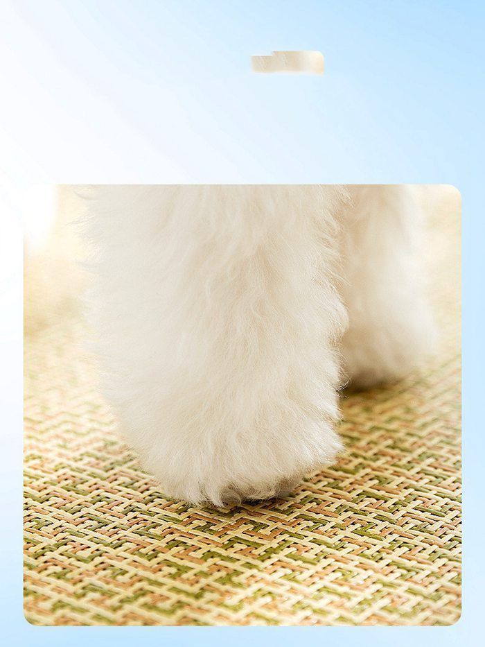 夏秋用 暑さ対策